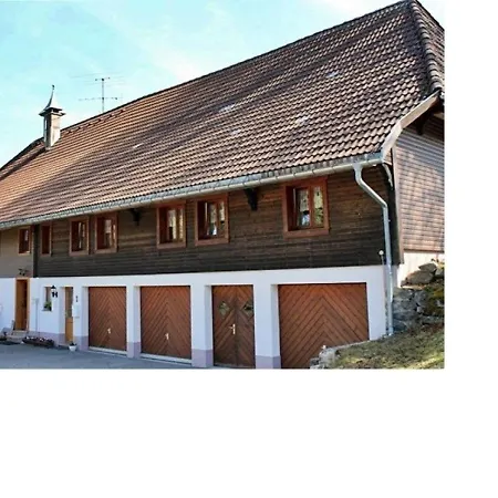 Haus Silvia Apartment Todtmoos