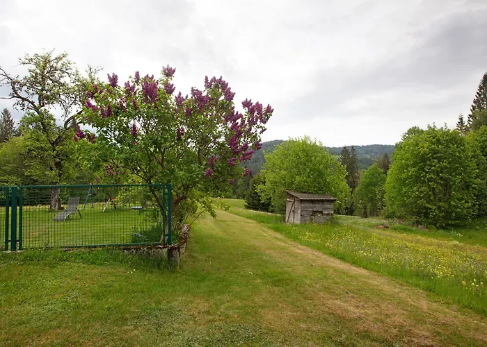 Apartment Haus Silvia